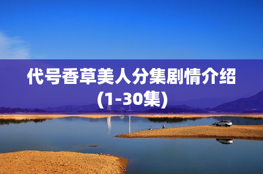 代号香草美人分集剧情介绍(1-30集)