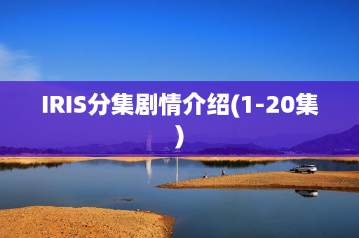 IRIS分集剧情介绍(1-20集)