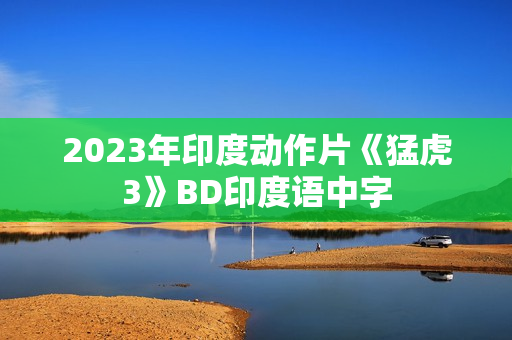 2023年印度动作片《猛虎3》BD印度语中字