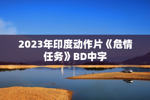 2023年印度动作片《危情任务》BD中字