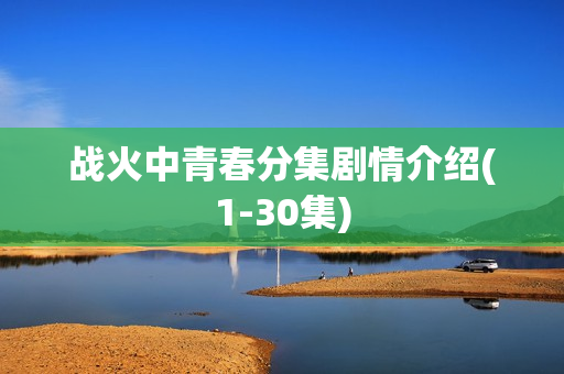 战火中青春分集剧情介绍(1-30集)