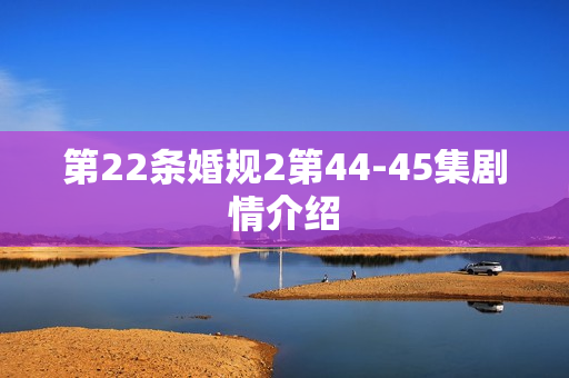 第22条婚规2第44-45集剧情介绍