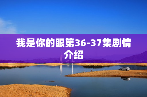 我是你的眼第36-37集剧情介绍