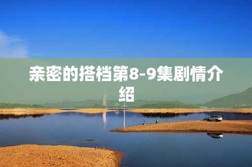 亲密的搭档第8-9集剧情介绍