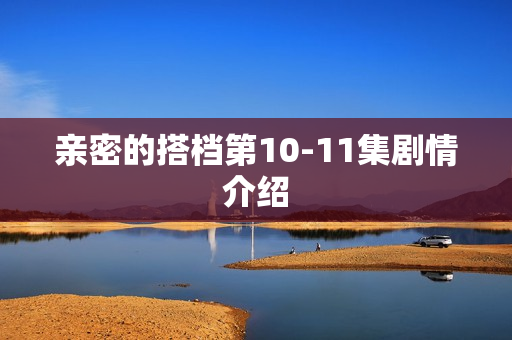 亲密的搭档第10-11集剧情介绍