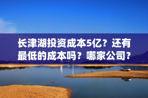 长津湖投资成本5亿？还有最低的成本吗？哪家公司？(长津湖 投资成本)