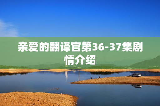 亲爱的翻译官第36-37集剧情介绍