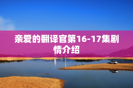 亲爱的翻译官第16-17集剧情介绍