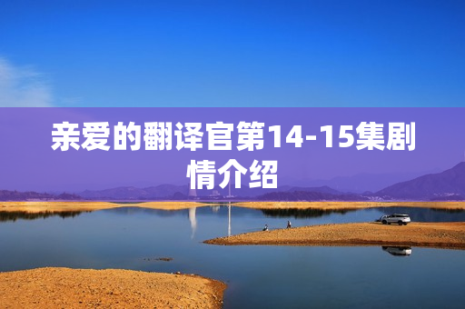 亲爱的翻译官第14-15集剧情介绍