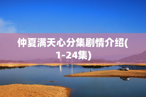 仲夏满天心分集剧情介绍(1-24集)