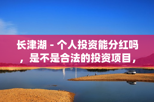 长津湖 - 个人投资能分红吗，是不是合法的投资项目，是不是骗局？(长津湖官方)