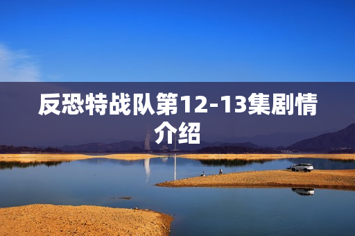 反恐特战队第12-13集剧情介绍