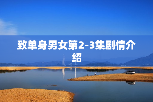 致单身男女第2-3集剧情介绍