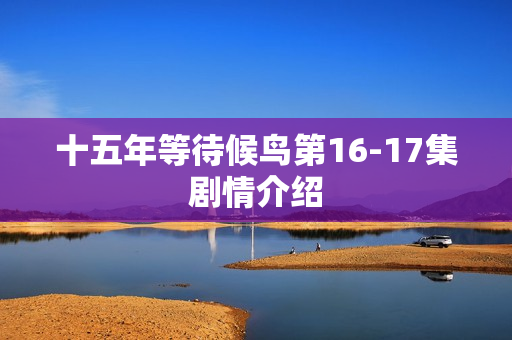 十五年等待候鸟第16-17集剧情介绍