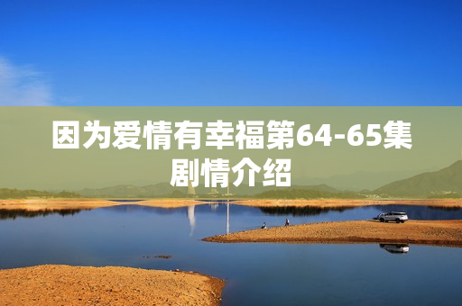 因为爱情有幸福第64-65集剧情介绍