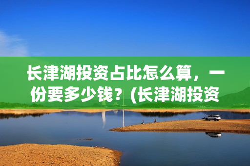长津湖投资占比怎么算，一份要多少钱？(长津湖投资收益)