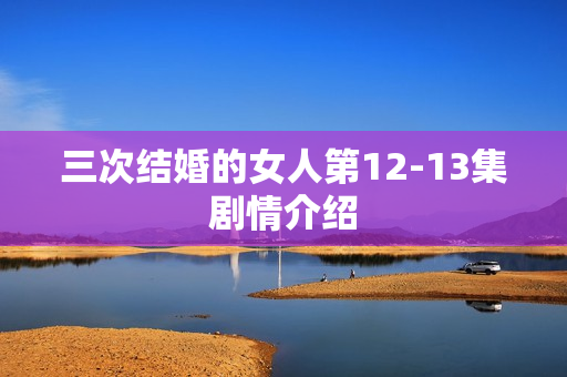 三次结婚的女人第12-13集剧情介绍