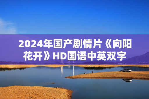 2024年国产剧情片《向阳花开》HD国语中英双字