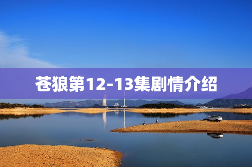 苍狼第12-13集剧情介绍