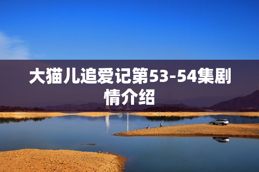 大猫儿追爱记第53-54集剧情介绍