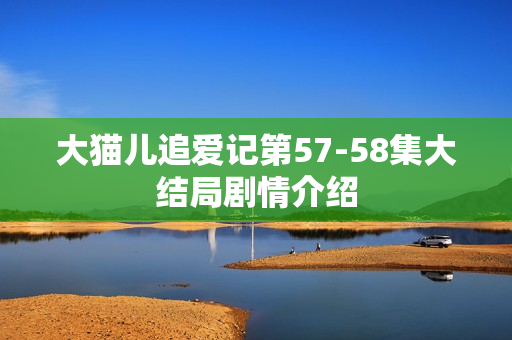 大猫儿追爱记第57-58集大结局剧情介绍