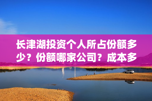 长津湖投资个人所占份额多少？份额哪家公司？成本多少？(长津湖的投资)