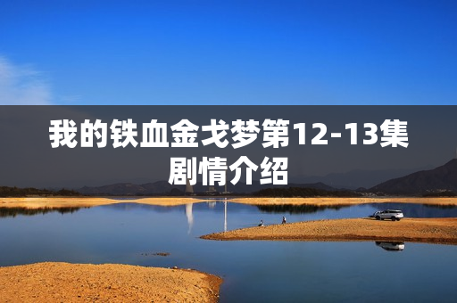 我的铁血金戈梦第12-13集剧情介绍