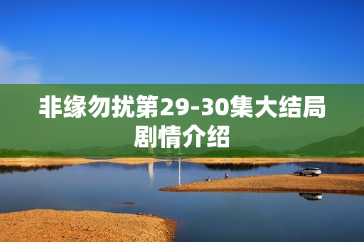 非缘勿扰第29-30集大结局剧情介绍