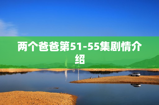 两个爸爸第51-55集剧情介绍