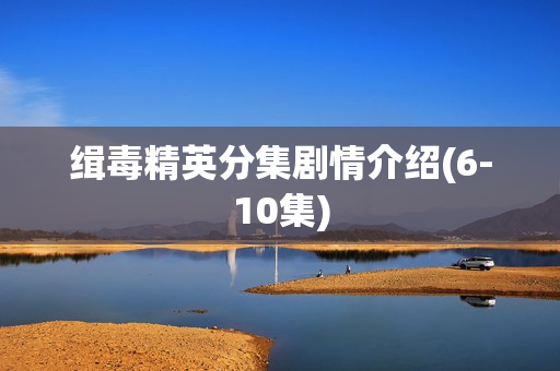 缉毒精英分集剧情介绍(6-10集) 缉毒精英分集剧情介绍(6-10集)