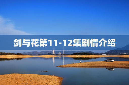 剑与花第11-12集剧情介绍