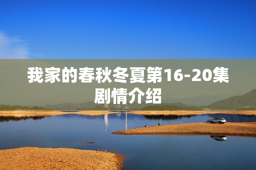 我家的春秋冬夏第16-20集剧情介绍