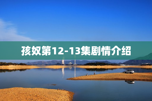 孩奴第12-13集剧情介绍