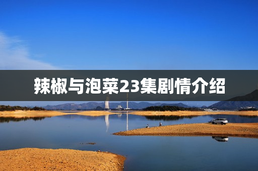 辣椒与泡菜23集剧情介绍 辣椒与泡菜23集剧情介绍