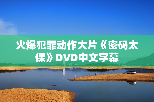 火爆犯罪动作大片《密码太保》DVD中文字幕