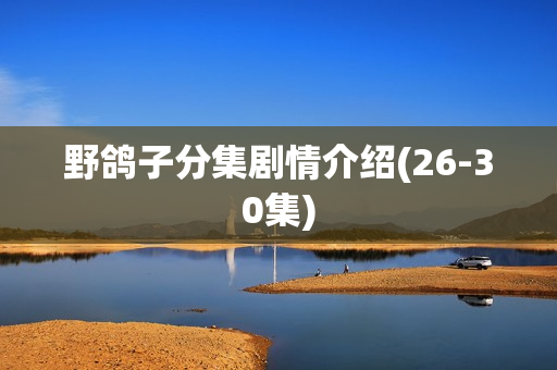 野鸽子分集剧情介绍(26-30集)