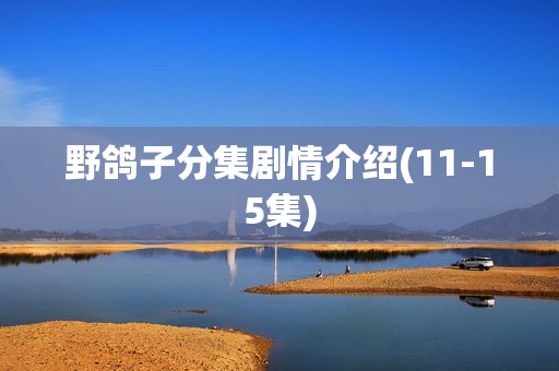 野鸽子分集剧情介绍(11-15集)