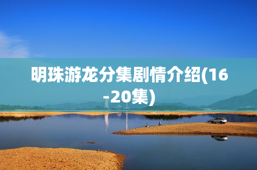 明珠游龙分集剧情介绍(16-20集)