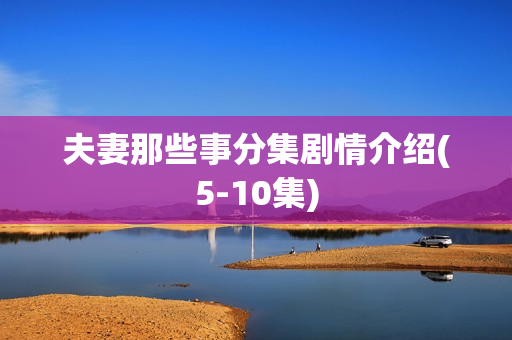 夫妻那些事分集剧情介绍(5-10集)