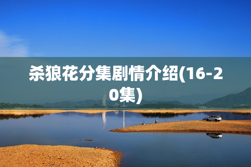 杀狼花分集剧情介绍(16-20集)