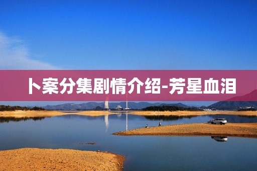 卜案分集剧情介绍-芳星血泪