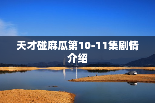 天才碰麻瓜第10-11集剧情介绍