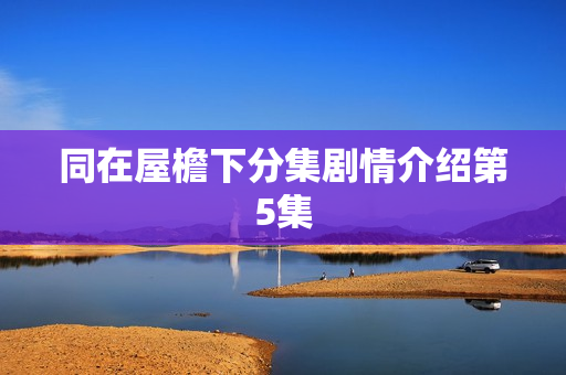 同在屋檐下分集剧情介绍第5集