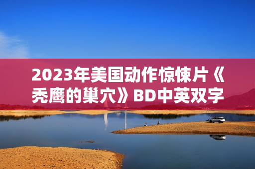 2023年美国动作惊悚片《秃鹰的巢穴》BD中英双字
