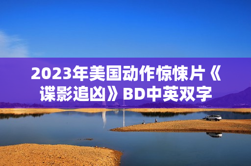 2023年美国动作惊悚片《谍影追凶》BD中英双字