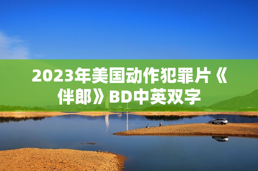 2023年美国动作犯罪片《伴郎》BD中英双字