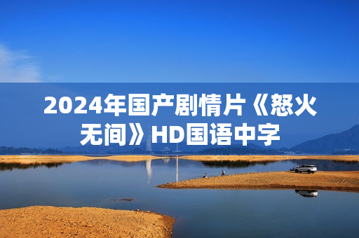 2024年国产剧情片《怒火无间》HD国语中字