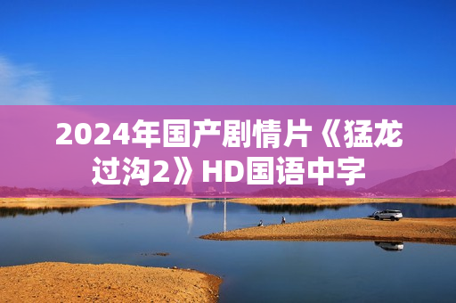 2024年国产剧情片《猛龙过沟2》HD国语中字