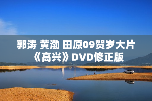 郭涛 黄渤 田原09贺岁大片《高兴》DVD修正版