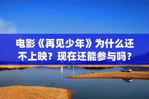 电影《再见少年》为什么还不上映？现在还能参与吗？(《再见,少年》上映)